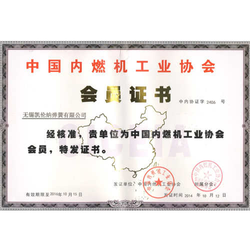 中國(guó)內(nèi)燃機(jī)工業(yè)協(xié)會(huì)會(huì)員證書(shū)